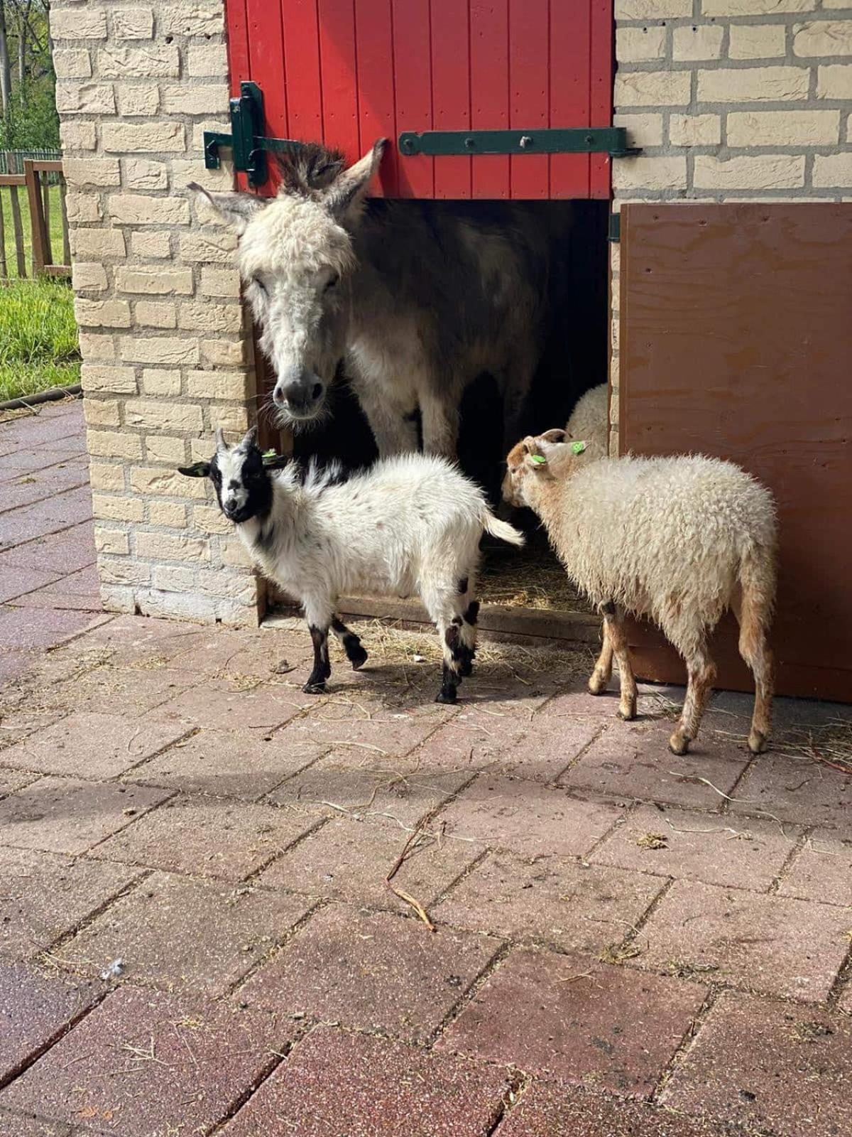 Het Huys Ewijk Mooi Luxe En Een Laadpaal Luaran gambar