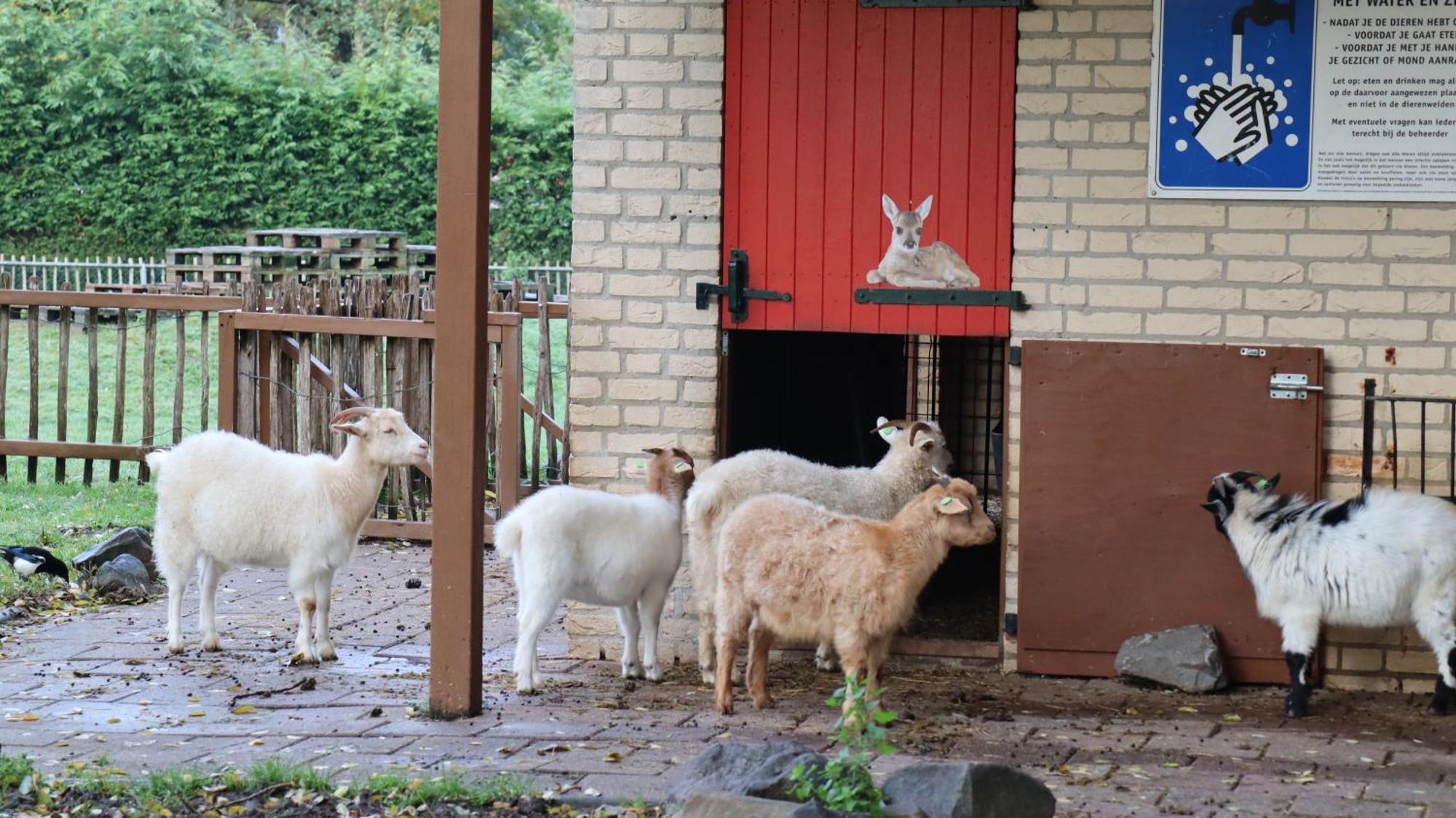 Het Huys Ewijk Mooi Luxe En Een Laadpaal Luaran gambar