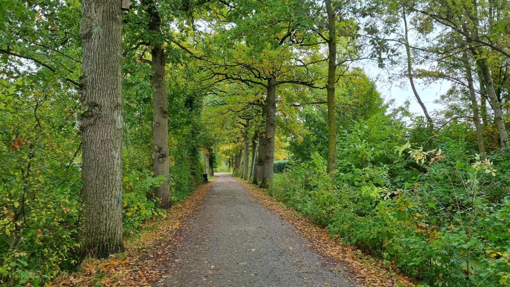 Het Huys Ewijk Mooi Luxe En Een Laadpaal Luaran gambar